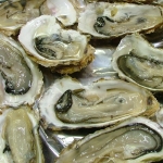 DSCF0654.JPG