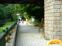 yamayuri.jpg