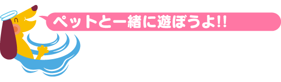 pet-play.png