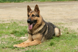 PHM25_0332.JPG