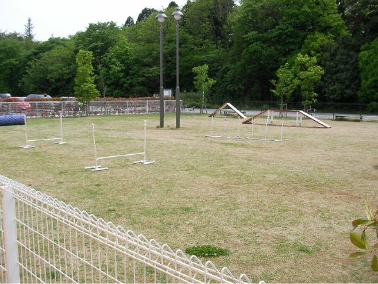 SANY0002.JPG