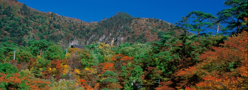 鹿股川08.psd