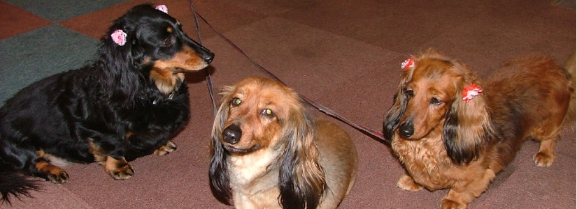 DSCF0366.JPG