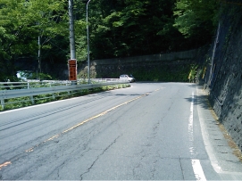IMAG0302.jpg