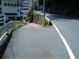 IMAG0305.jpg