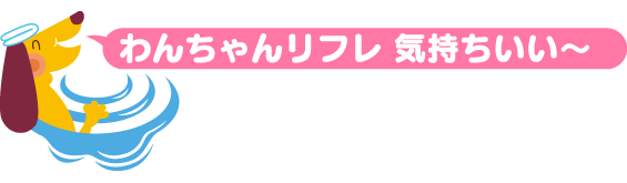 refre.png