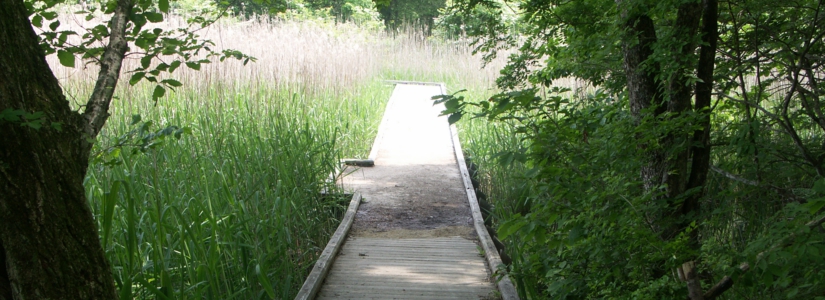PICT3330.JPG
