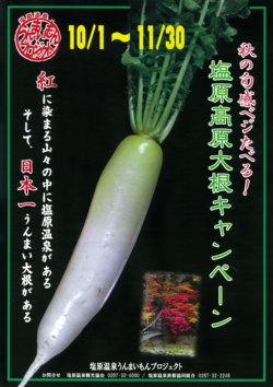 daikon-omote.jpg